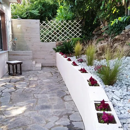 Meadow * Elevtheraí