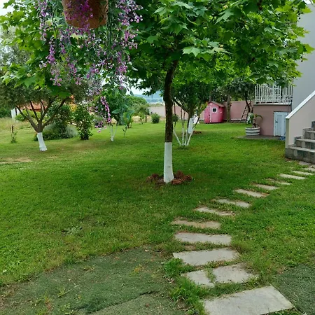 Meadow Elevtherai